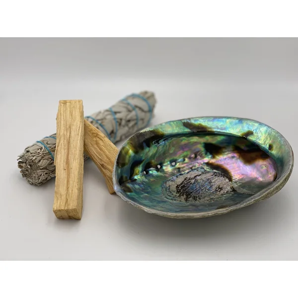 Abalone Coquillage d'Ormeau