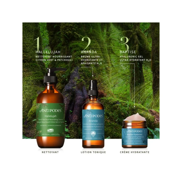 Ananda Tonique Doux Antioxydant 100ml