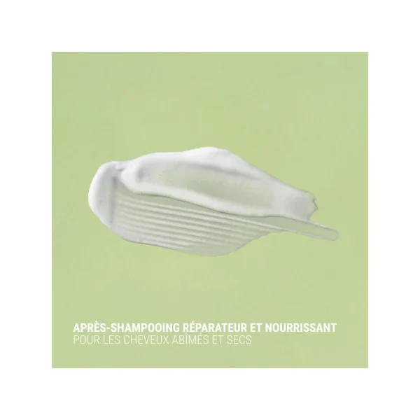 APRES SHAMPOING FIGUE / FEIJOA REPARATEUR ET NOURRISSANT 340ml