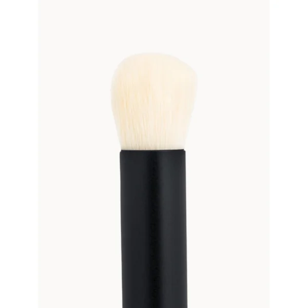 Baby Blender Brush