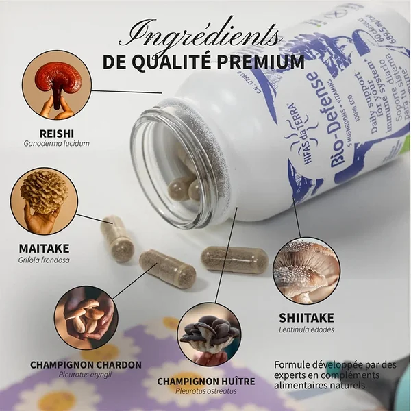 Bio-Defense - 11 Champignons BIO - Système immunitaire