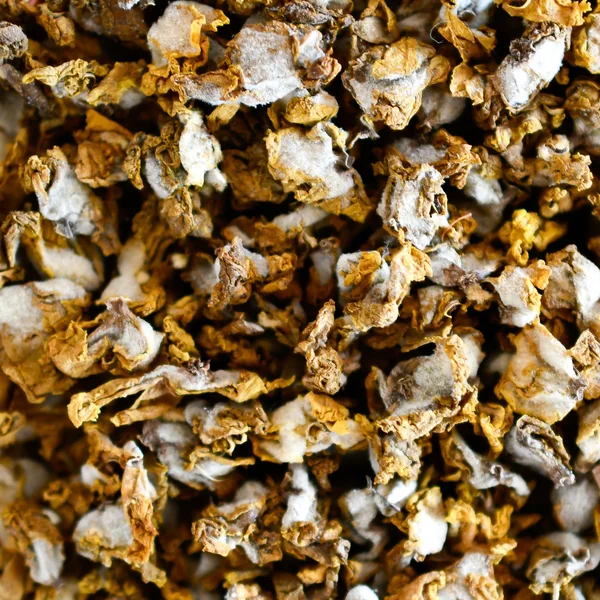 Bouillon Blanc - Molène fleurs (Tisane en vrac)