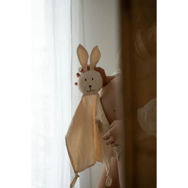 Box grossesse - bola de grossesse EQUILIBRE + Doudou bola brodé