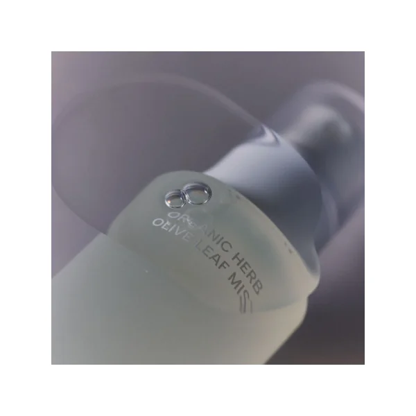 Brume à la feuille d'olivier Bio & fermentée 100ml