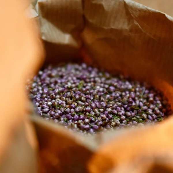 Bruyère Callune fleurs BIO (Tisane en vrac)