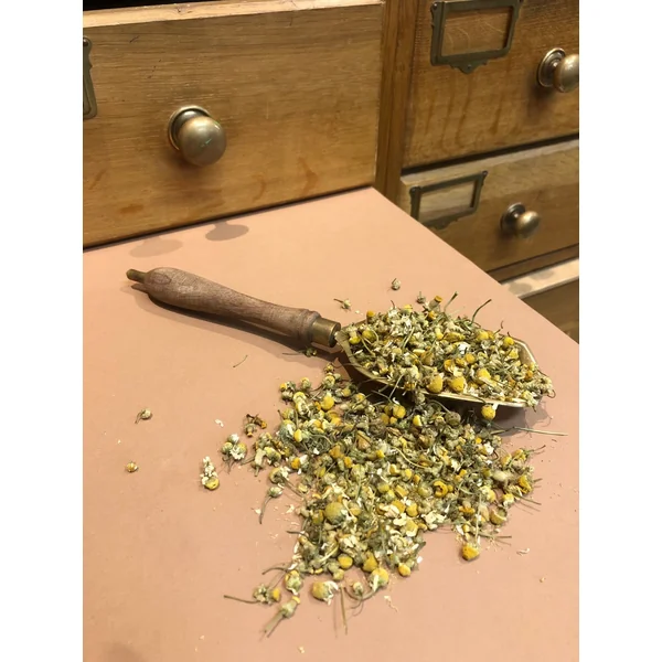 Camomille Matricaire fleurs BIO (Tisane en vrac)