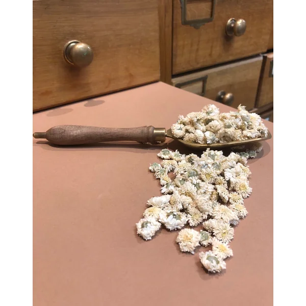 Camomille Romaine fleurs BIO (Tisane en vrac)
