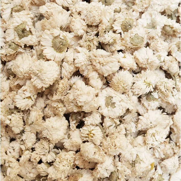 Camomille Romaine fleurs (Tisane en vrac)