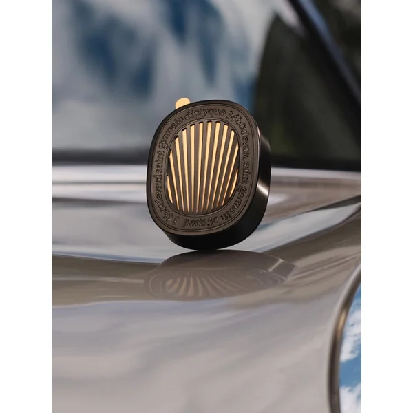 Car diffuser with Figuier insert
