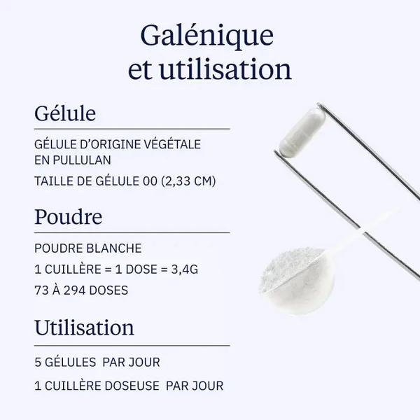 Créatine monohydrate Creapure (Poudres)