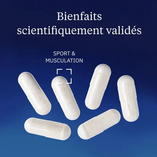 Créatine monohydrate Creapure (Poudres)