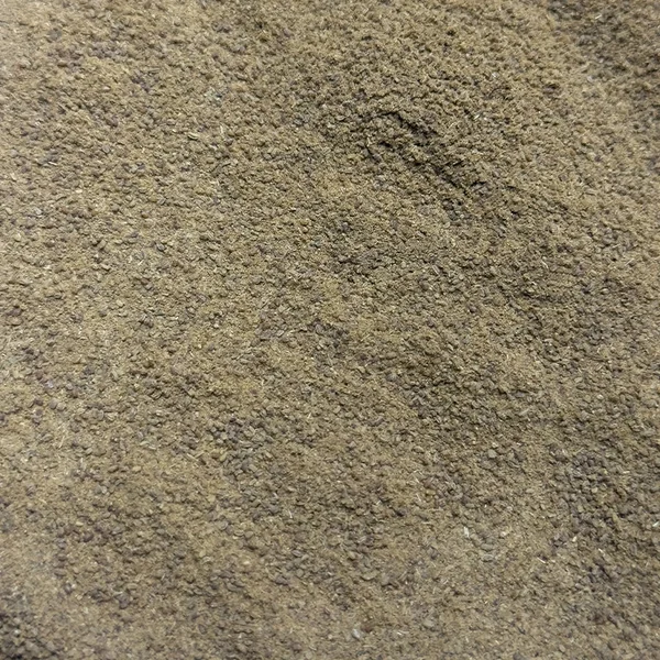Céleri (Poudre)