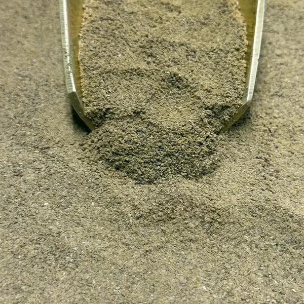 Céleri (Poudre)