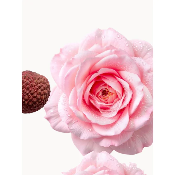 Delina La Rosée Eau de Parfum