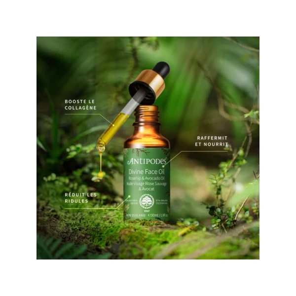 DIVINE HUILE VISAGE ROSE SAUVAGE ET AVOCAT - 30ML