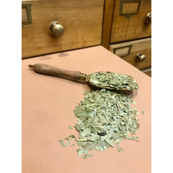 Eucalyptus feuilles BIO (Tisane en vrac)