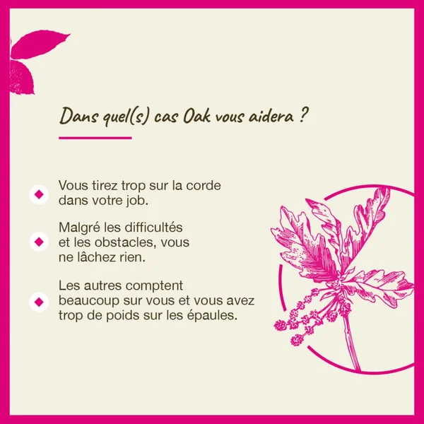 Fleurs de Bach Oak n°22