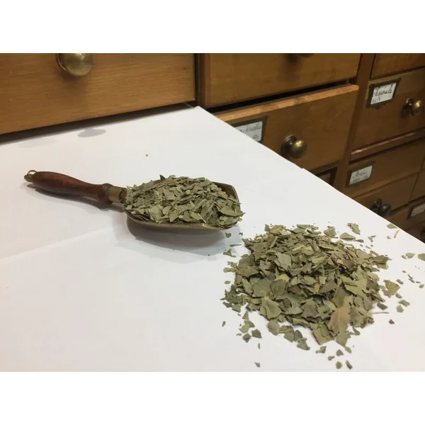 Frêne feuilles (Tisane en vrac)