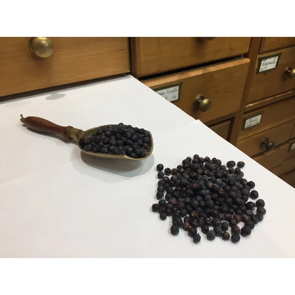 Genièvre Baies Genevrier Commun BIO (Tisane en vrac)