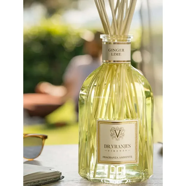 Ginger lime diffuser