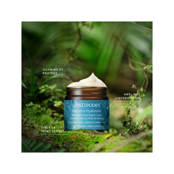 HARMONY HYALURONIC Crème de nuit au Miel de Manuka 60ML