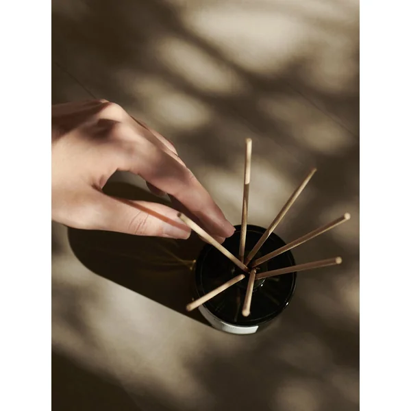 Homecoming Fragrance Stick Diffuser