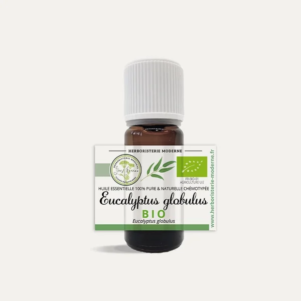 Huile essentielle Eucalyptus Globulus BIO