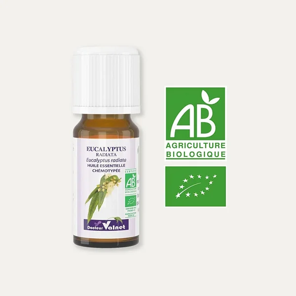 Huile essentielle Eucalyptus Radiata BIO
