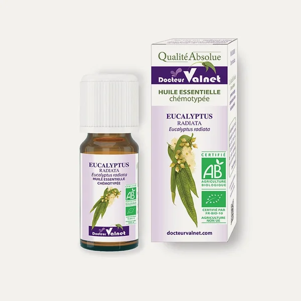 Huile essentielle Eucalyptus Radiata BIO