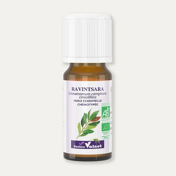 Huile essentielle Ravintsara BIO