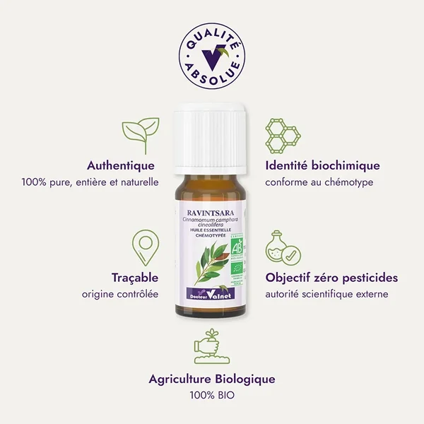 Huile essentielle Ravintsara BIO