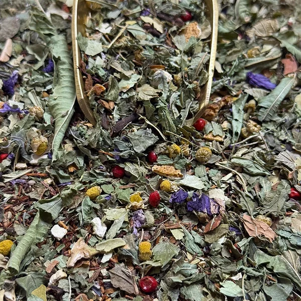 Infusion plaisir Réconfort