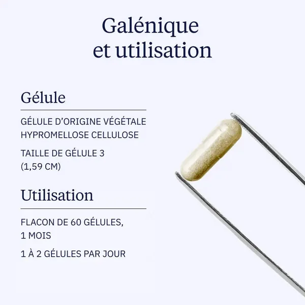 Lactoferrine Bio-active (Gélules)