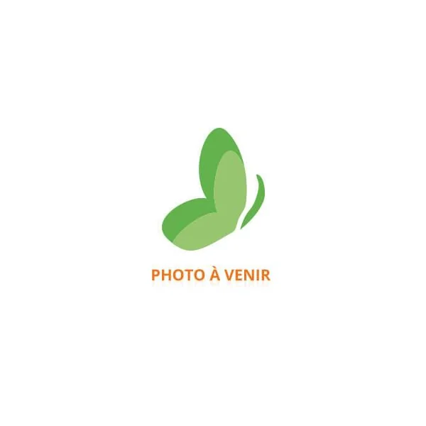 Le Mini Macaron Vernis Semi-Permanent 8,5 ml - Teinte : Pearlescence