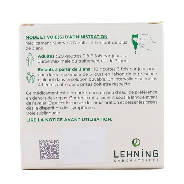 Lehning L52 Etats Grippaux