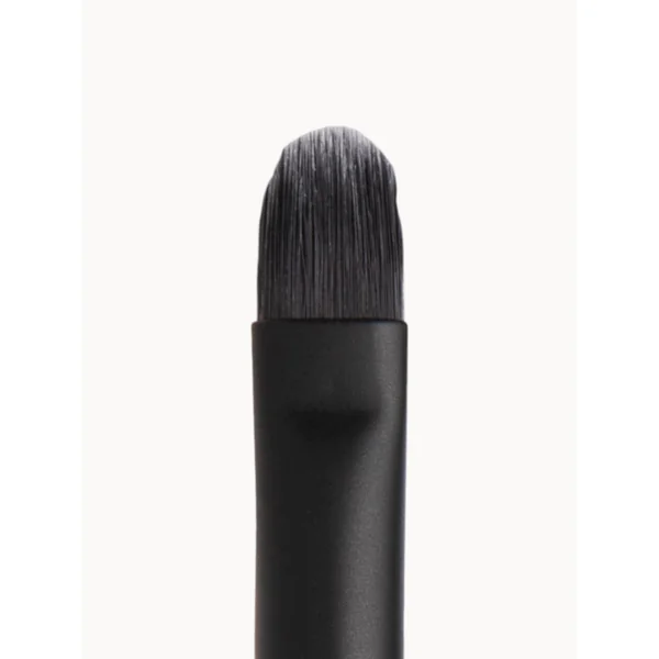 Lip Brush