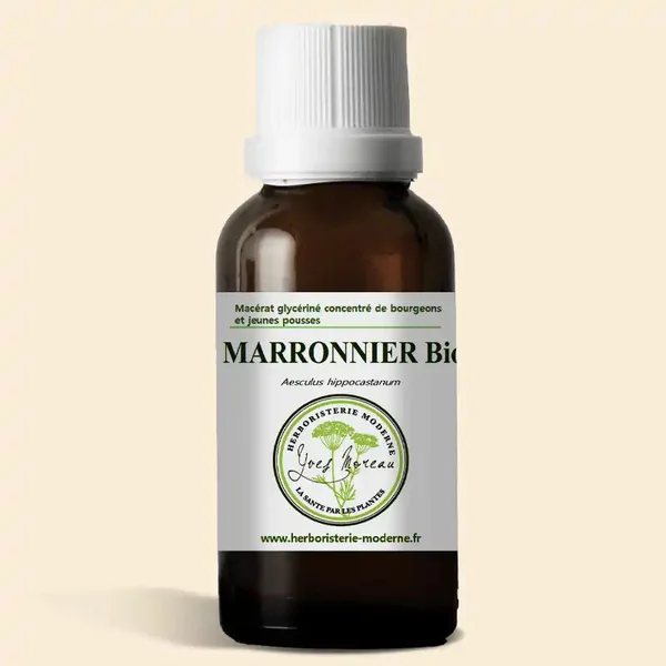Macérât glycériné concentré de bourgeons de Marronnier BIO (Bourgeons)