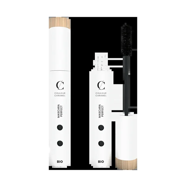 Mascara Perfect BIO n°41