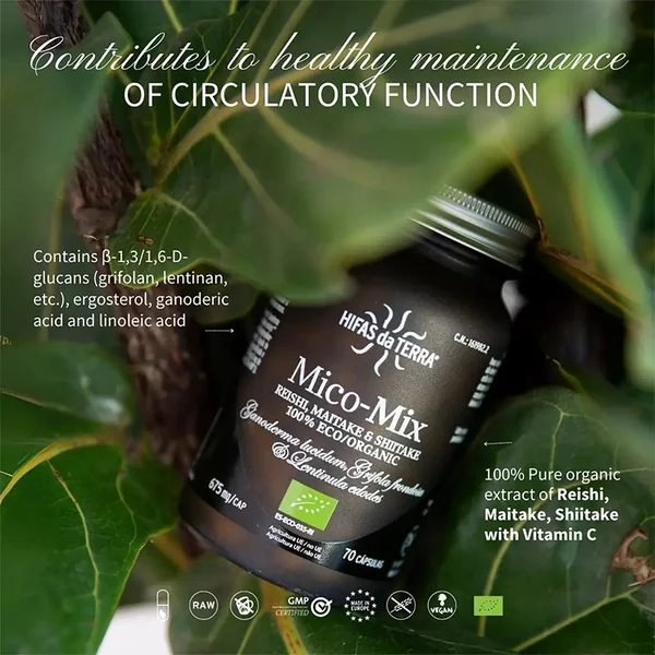 Mico-Mix BIO - Champignons