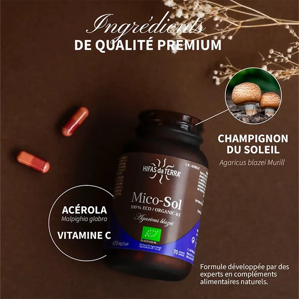 Mico-Sol BIO - Agaricus blazei Champignon du soleil