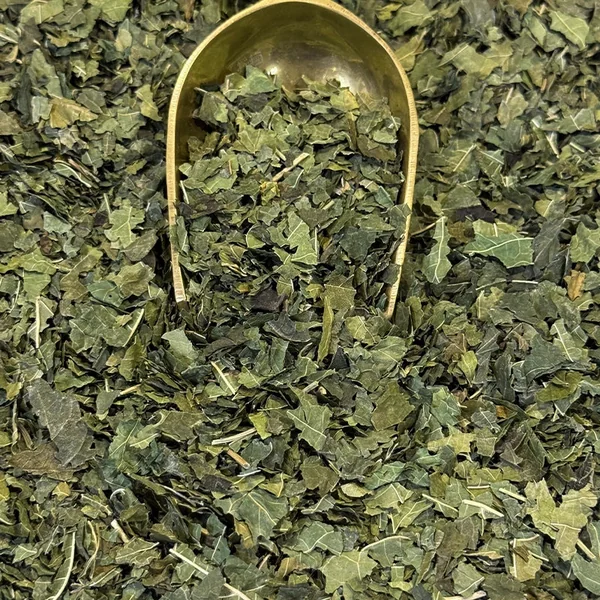 Mûrier blanc BIO (Tisane en vrac)
