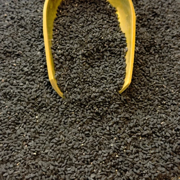 Nigelle - Cumin Noir BIO (Graines)
