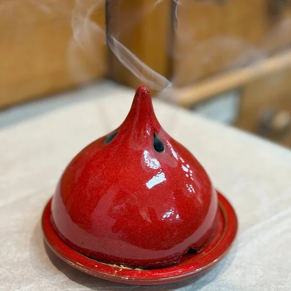 Palo santo pur bois sacré (Poudre)