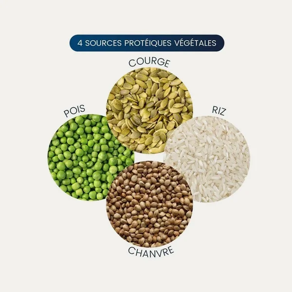 Protéines végétales BIO (Poudre)