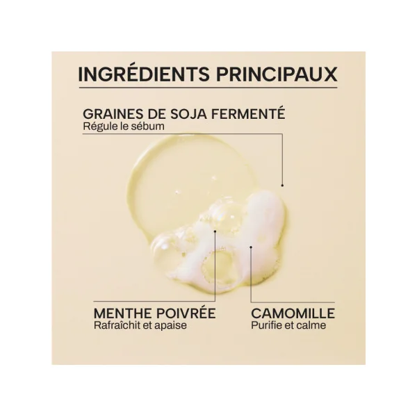 Shampoing cheveux gras - Bio & fermenté 490ml