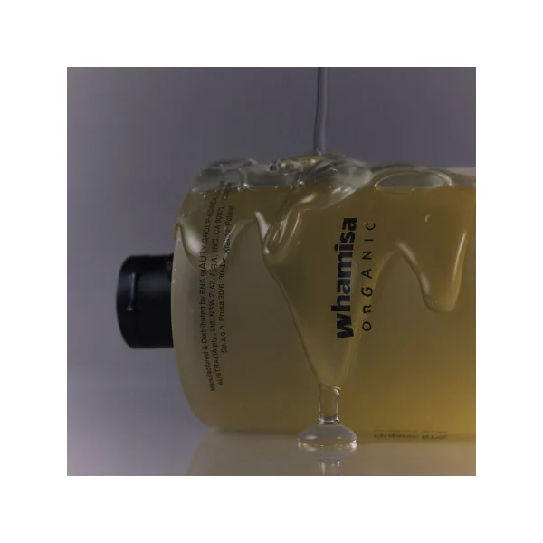 Shampoing cheveux gras - Bio & fermenté 490ml