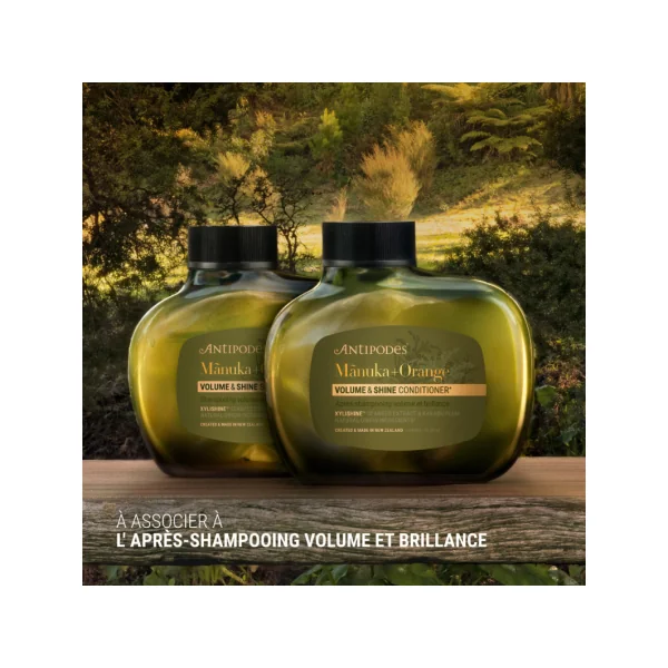 SHAMPOING MANUKA / ORANGE SANGUINE VOLUME ET BRILLANCE 340ml