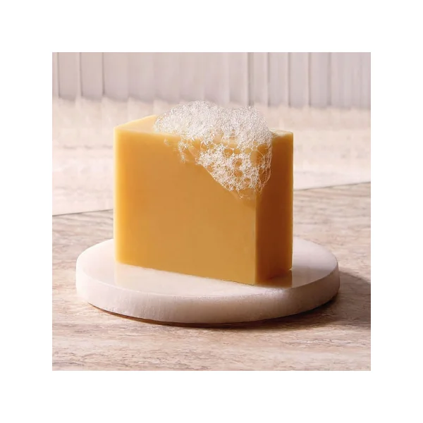 Shampoing solide hydratant à l'aloe vera 100 gr