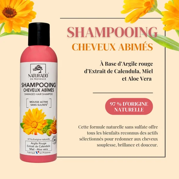 Shampooing BIO - Cheveux abîmés
