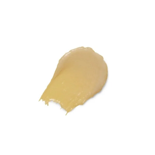 Soin de nuit pour les lèvres Burt’s Bees 7 g